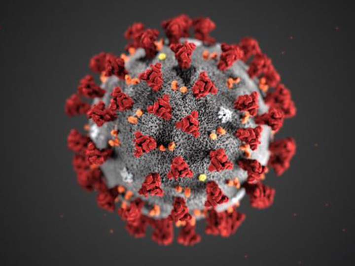 How to avoid catching or spreading Corona Virus - Eden Brook Home Care